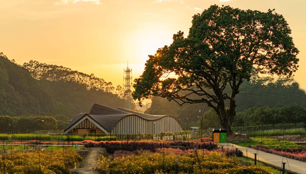 08遠觀-林汝佳.jpg 08遠觀-林汝佳.jpg