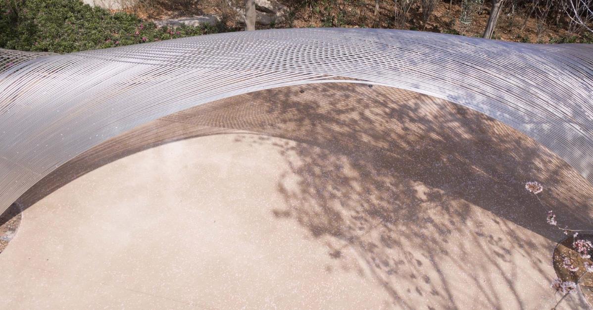 040-櫻花樹和鋪裝.jpg 040-櫻花樹和鋪裝.jpg